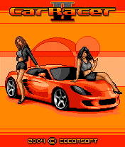 Car Racer 2 (176x208)(176x220)